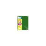CARTULINA IRIS 2C 50X65CM 180G VDE.BANDERA 100500