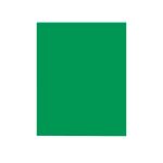 PAPEL BOND CTA. VERDE BANDERA 75G. TASKY PAQ.C100H. C.25