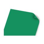 CARTULINA REFLECT IRIS 2C 50X65CM 180G VDE BAND E10100