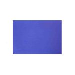 PAPEL LUSTRE SATINADO 49X66 CM. AZUL REY 304 E25 C.500