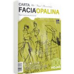PAPEL OPALINA CTA. MARFIL 120G. COPAMEX PAQ. C100H. C.20