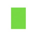 PAPEL BOND CTA. VERDE PERICO 75G. TASKY PAQ.C100H. C.25