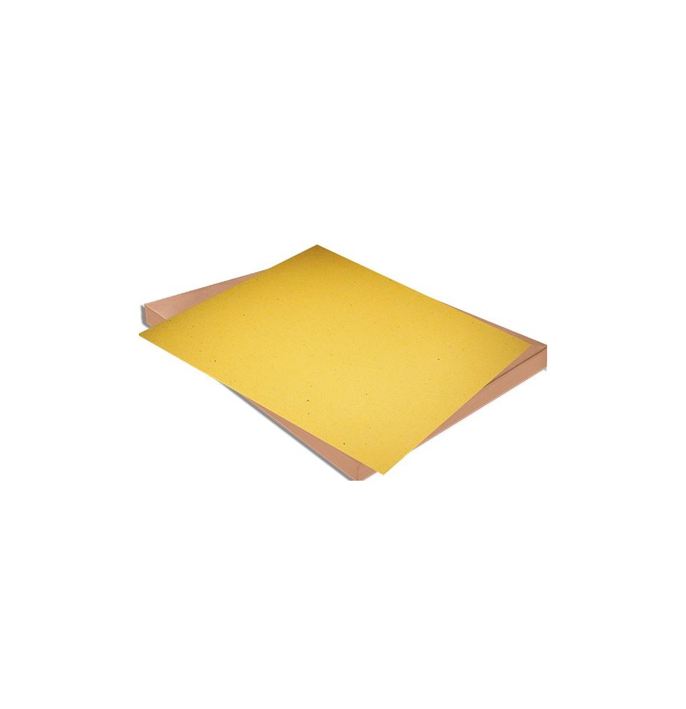 CARTONCILLO ESCOLAR 50X70 CANARIO C.250