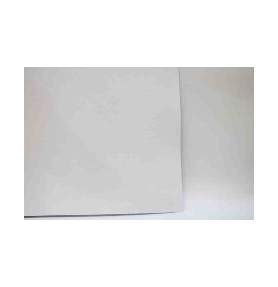 CASCARON ENTERO 71X112CM. E.25