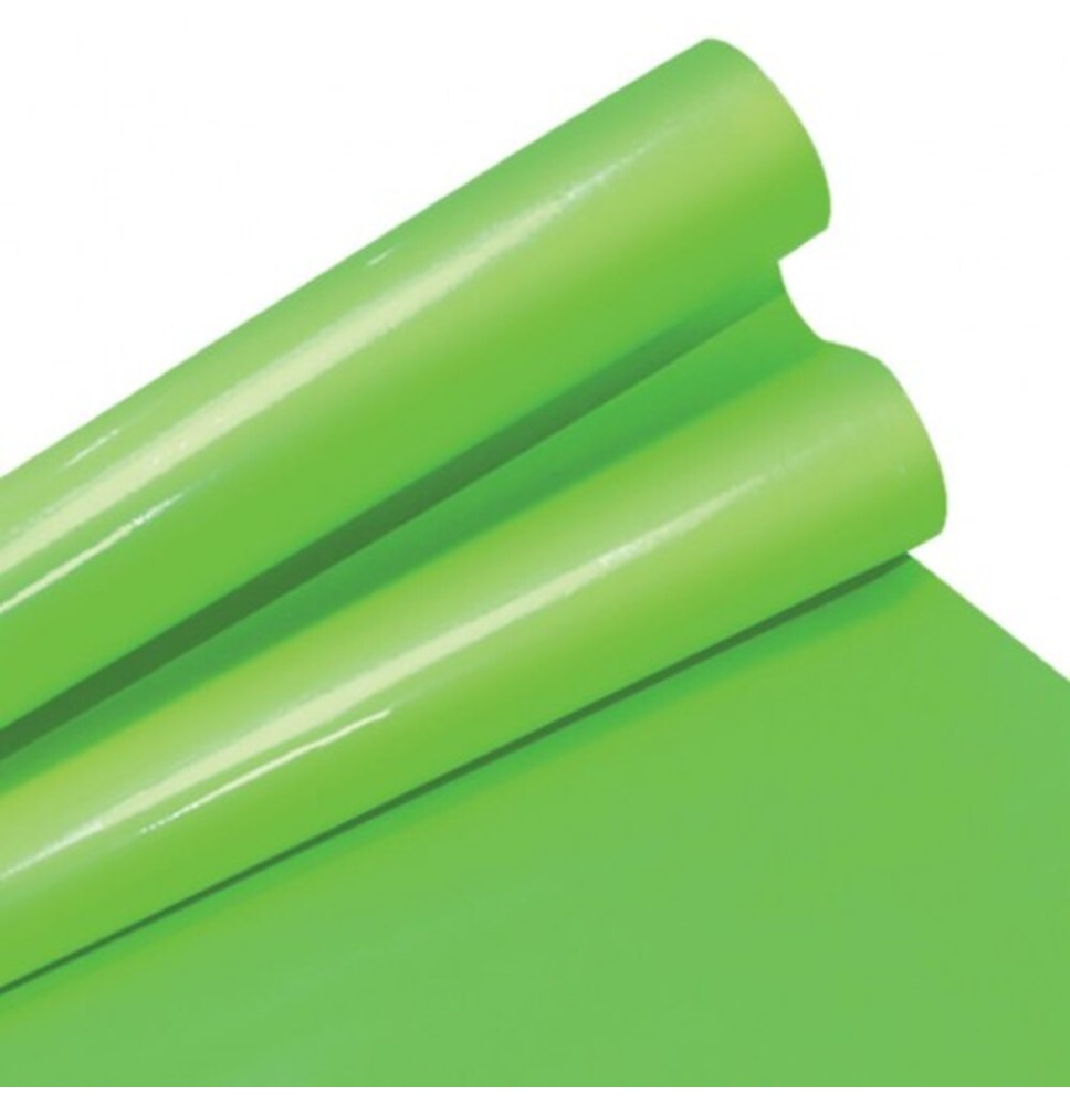 PAPEL LUSTRE SATINADO 49X66 CM. VERDE NILO 419 E25 C500